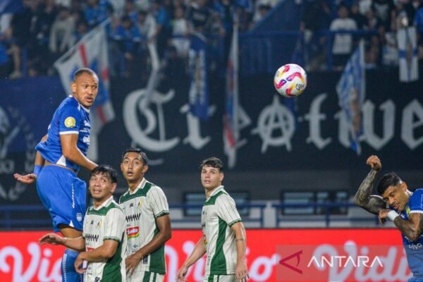 Pertarungan Tujuh Tim untuk Menghindari Degradasi di Liga 1 Indonesia
